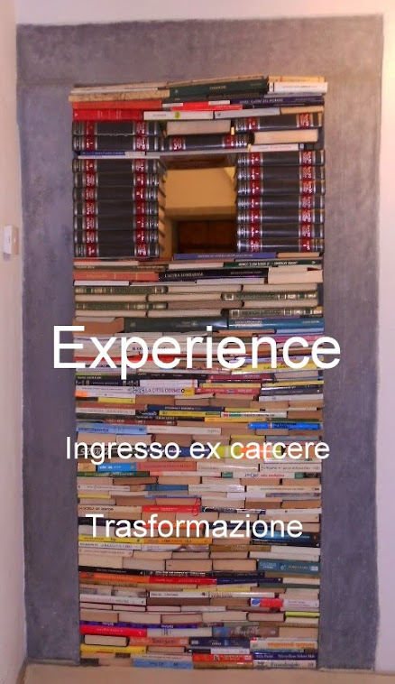 Experience