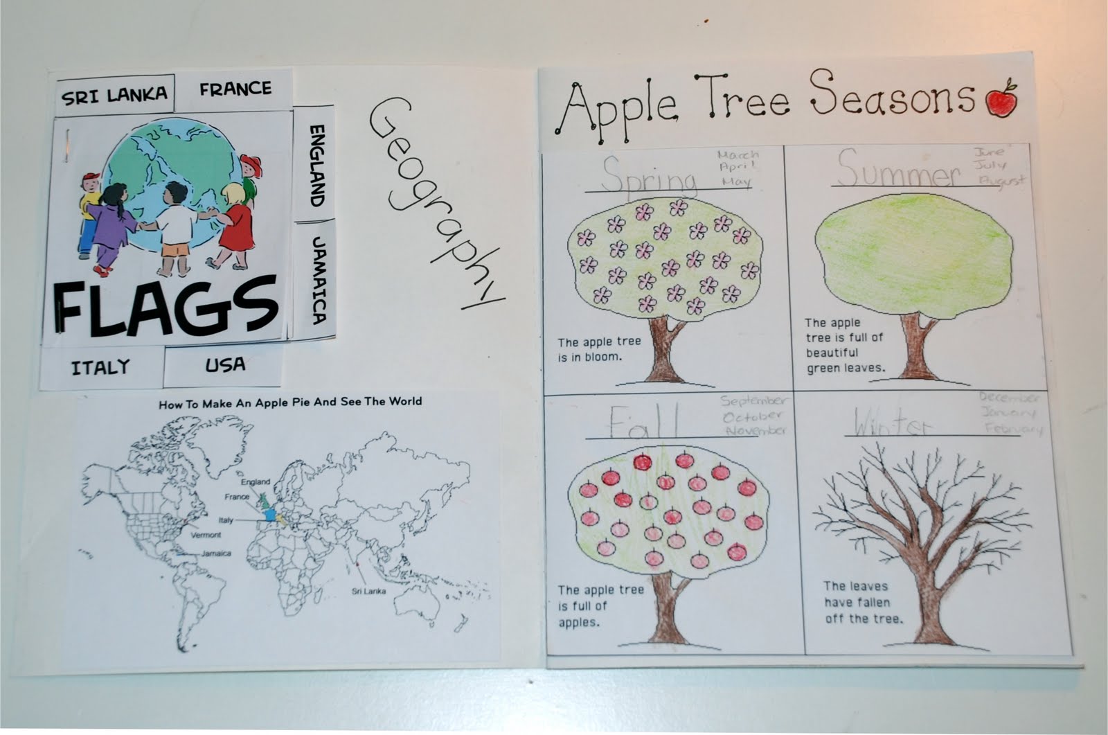 How To Make An Apple Pie And See The World