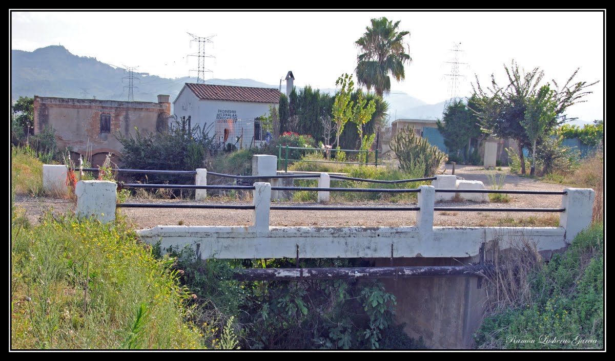 Una ventana al Delta: agosto 2011