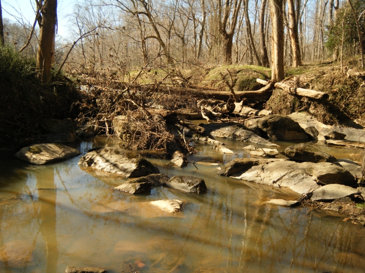 weltanschuuang Bankfull Flood on the Haw River, North Carolina