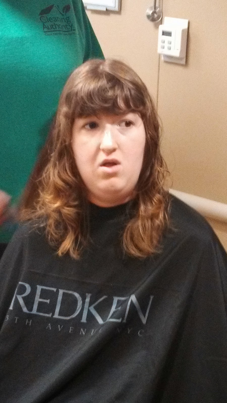 Whitney Van Dyke The Haircut