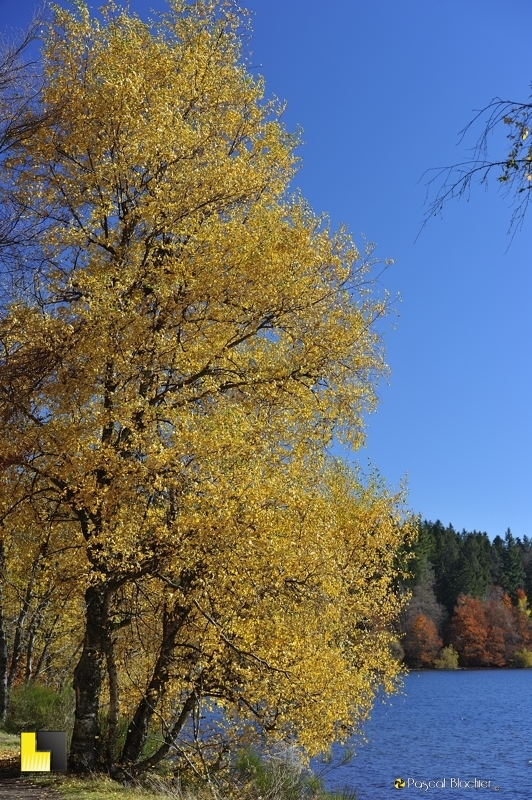 automne photo pascal blachier