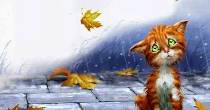 Resultado de imagen de trascendiendo todos los limites de tu alma