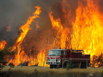 6 Kebakaran Hutan Terbesar Sepanjang Sejarah Dunia