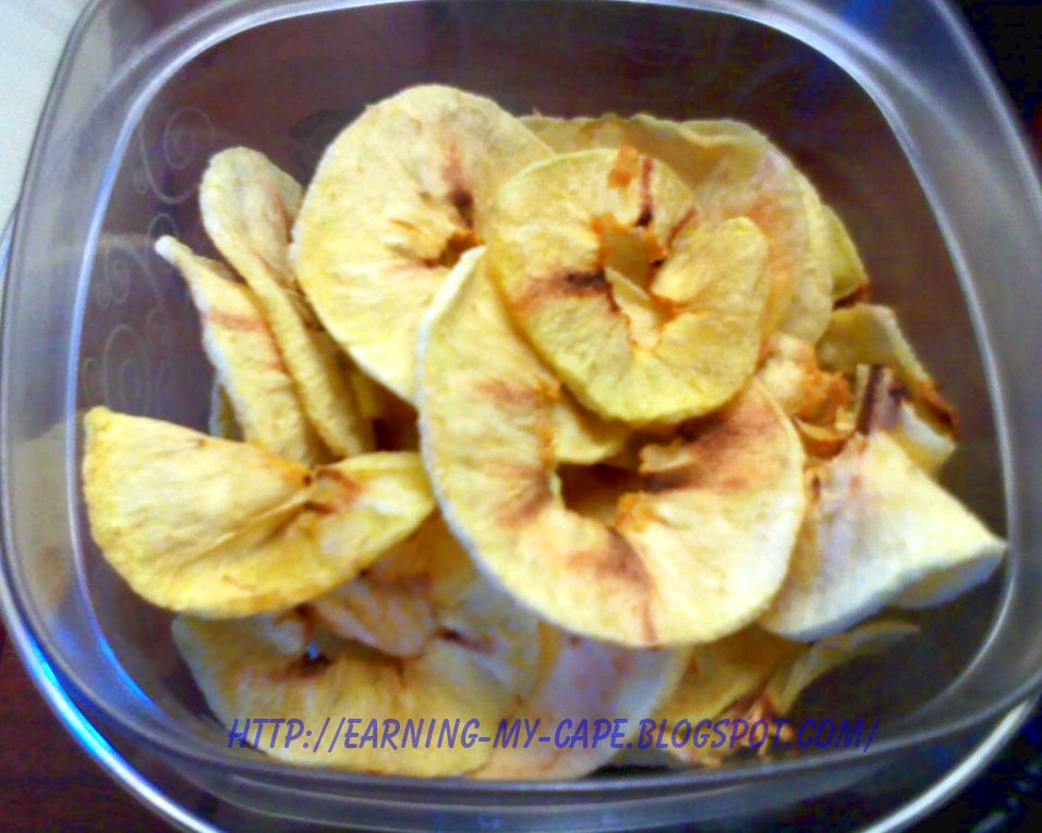 EarningMyCape Microwave Dried Fruit