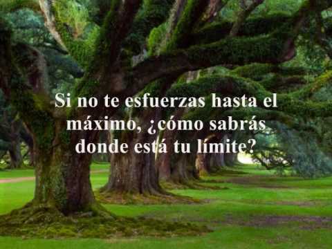 HISTORIAS SOBRE LA FELICIDAD historias sobre la felicidad: