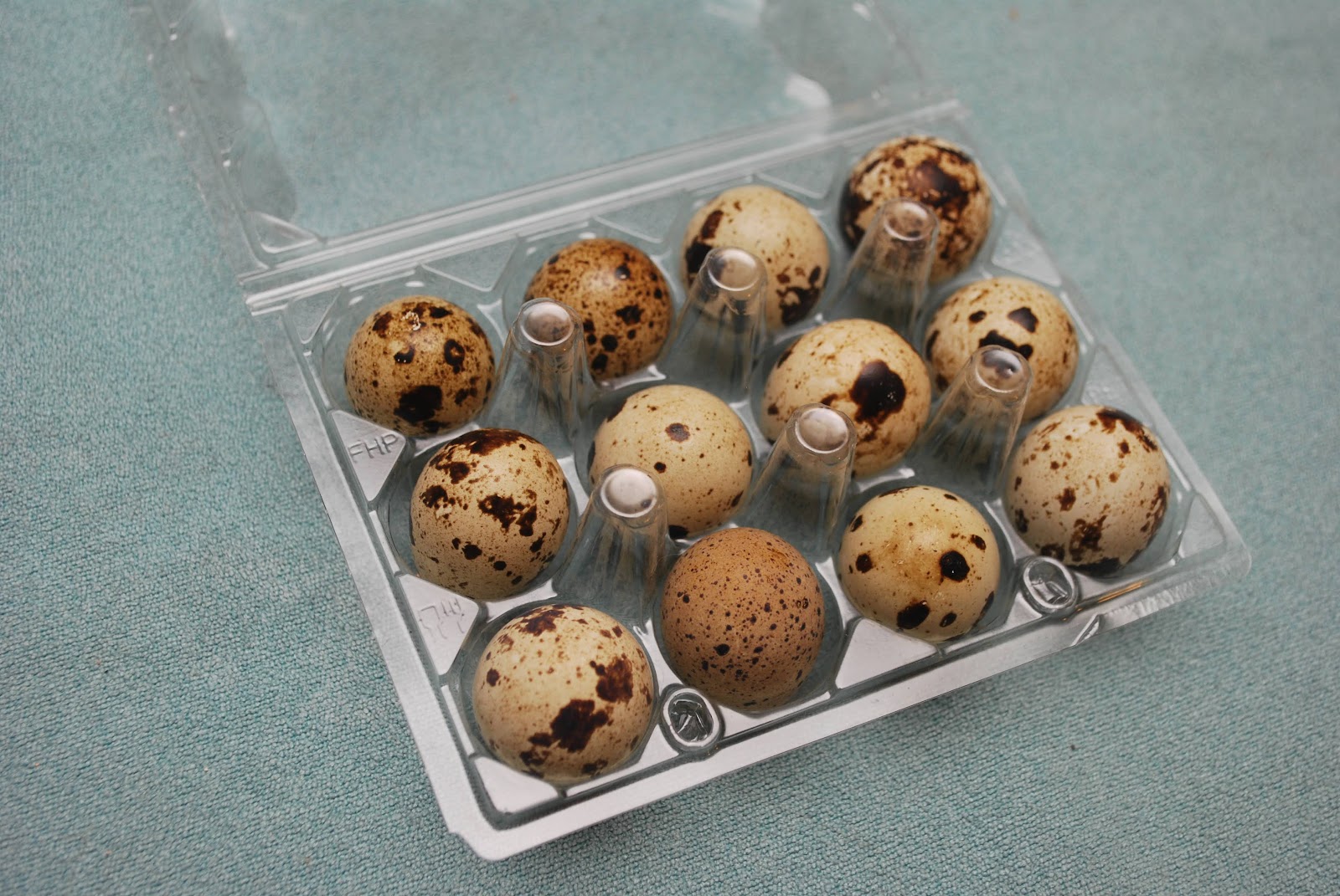 HighTail Farms Quail processing day