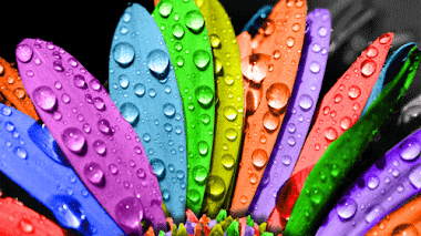 Imprimir flores coloreadas
