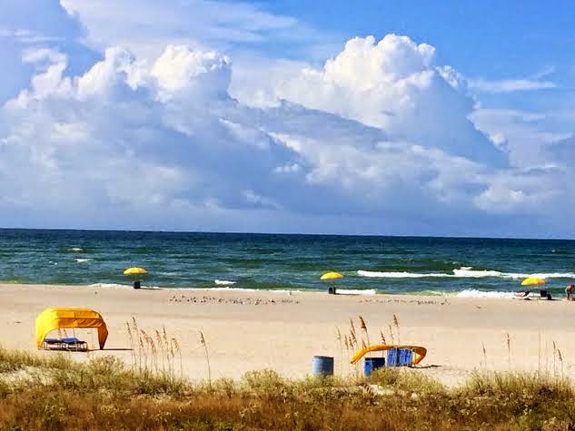 Day Forecast For Treasure Island Florida Day Forecast For Treasure Island Florida
