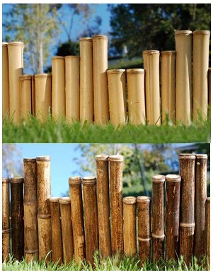 Bamboo Grove Photo: Bamboo Garden Edging