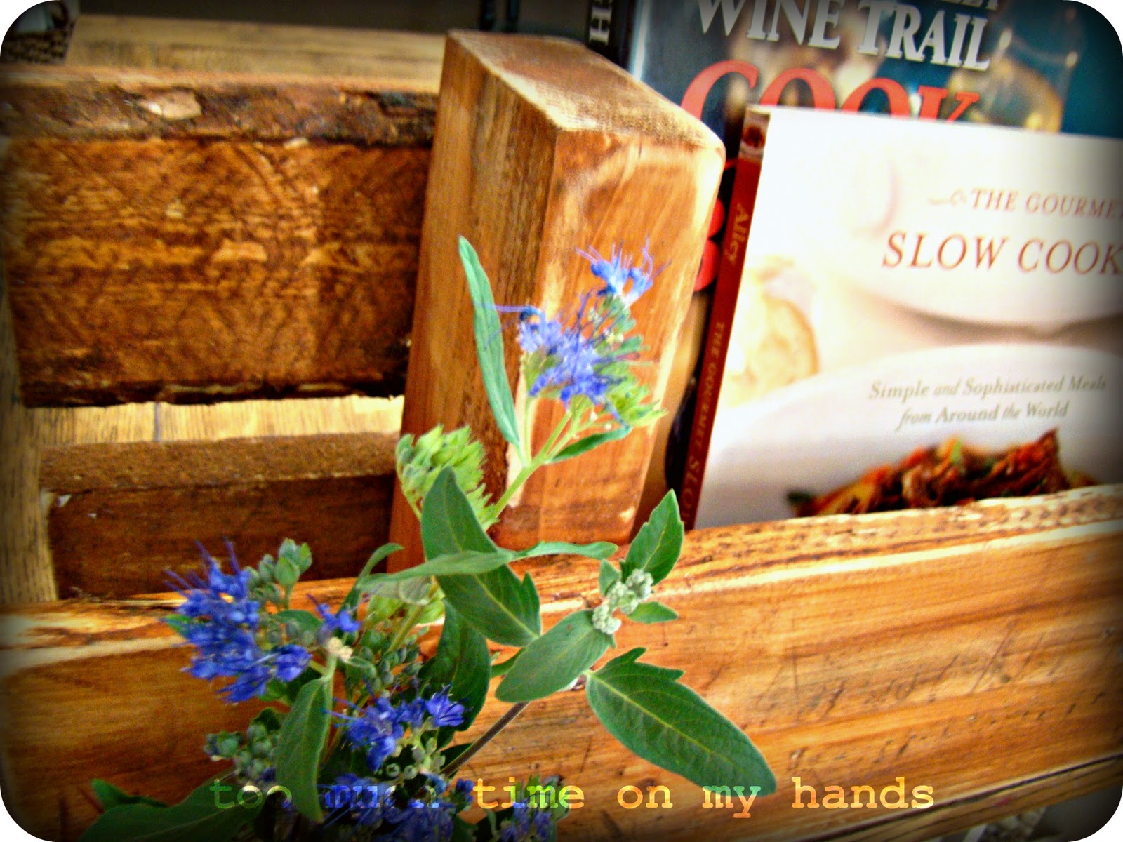 Too Much time on my hands Rustic Wood Pallet Shelf