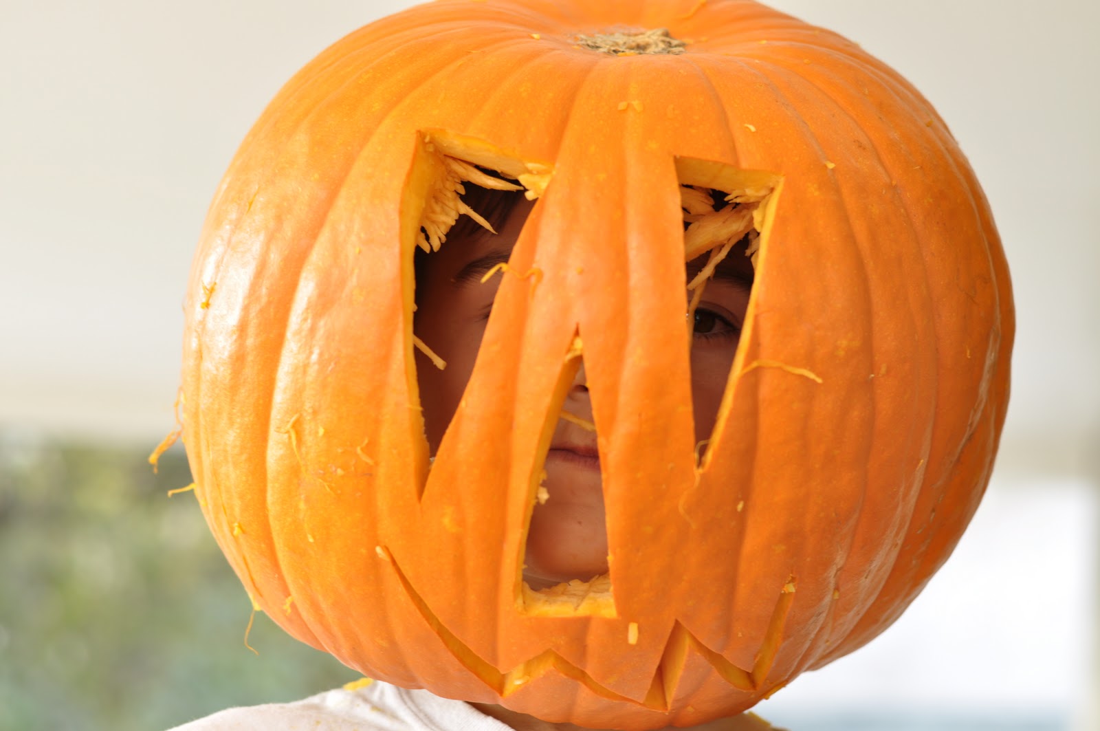 brown bobbin pumpkin carving and football helmets