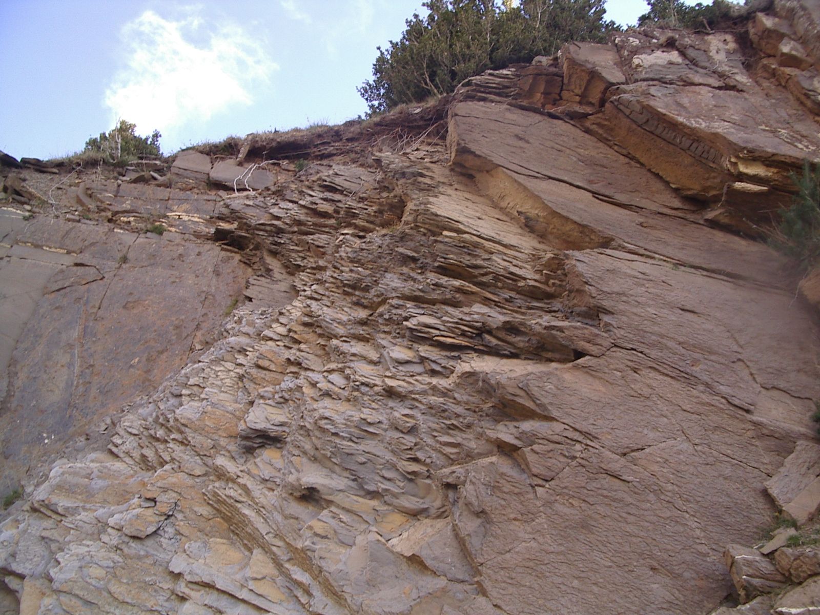 ÉPOCAS GEOLÓGICAS DE LA TIERRA