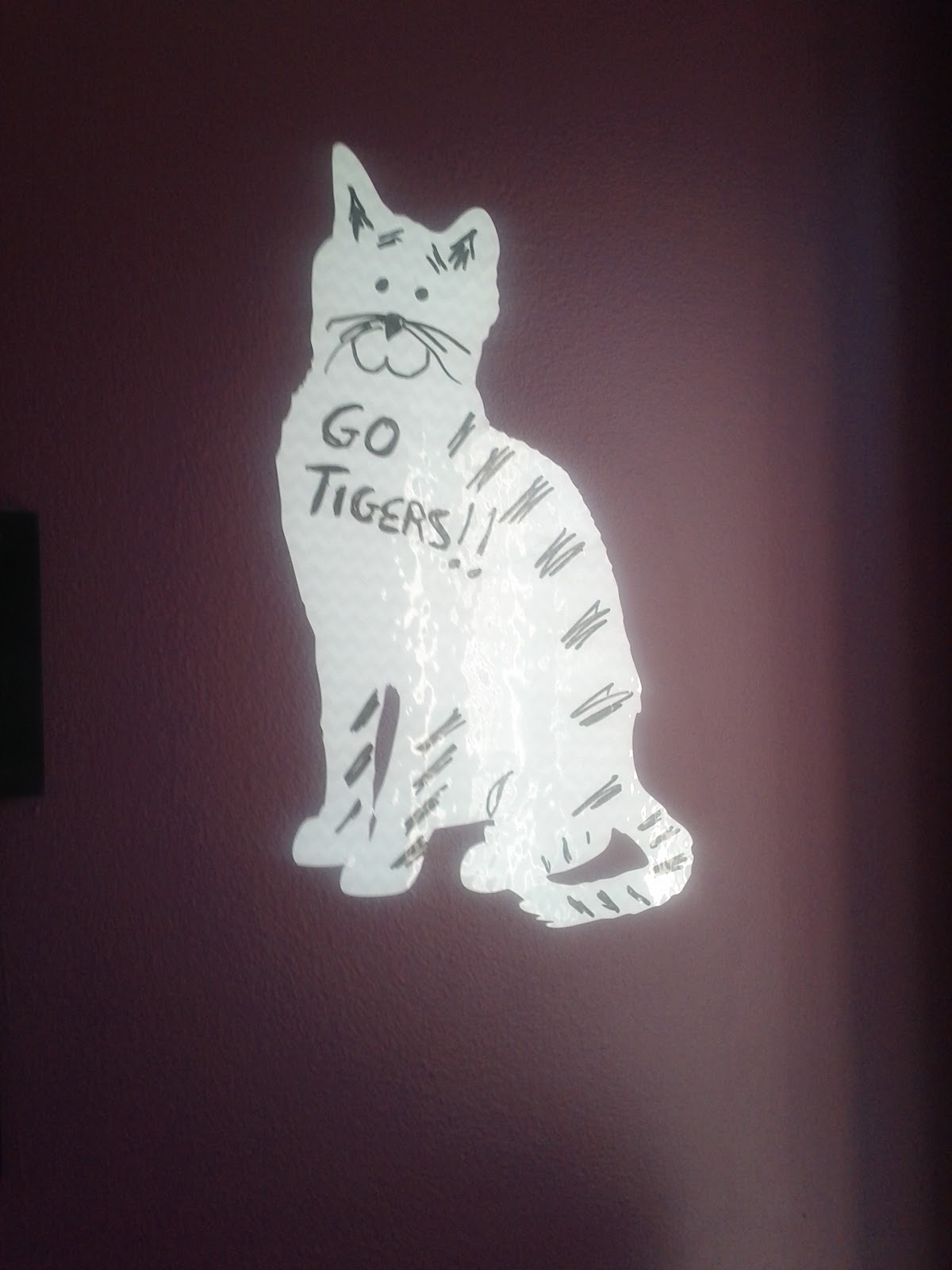 Cat Chat With Caren And Cody Fun Friday! A GiveAway From BumperPet!