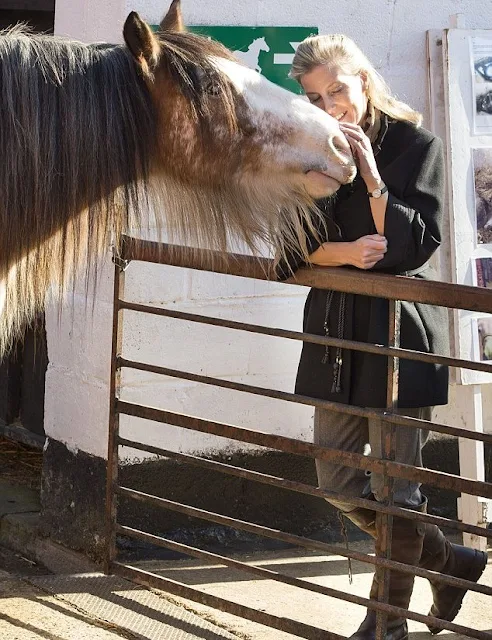 The Countess of Wessex during a visit to Remus Memorial Horse Sanctuary