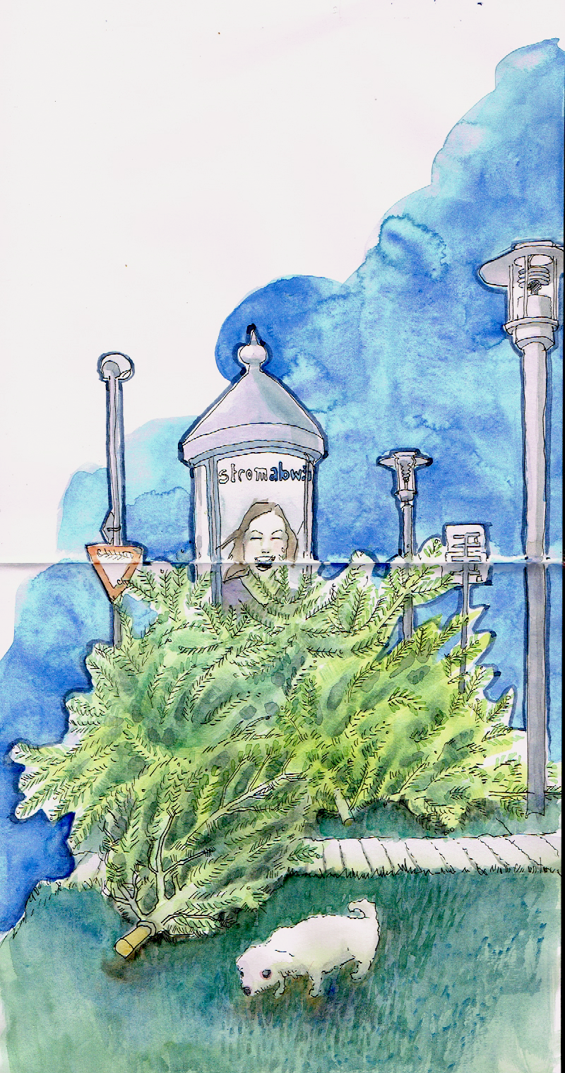 Brighton Das Englische Seebad Am Armelkanal