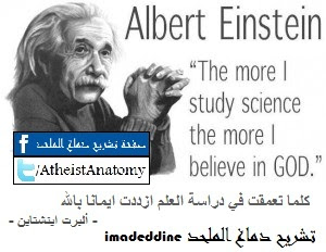 Albert Einstein - The more I study Science