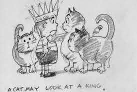 Podcats The Podcast 20 Of The Best Cat Ch Phrases