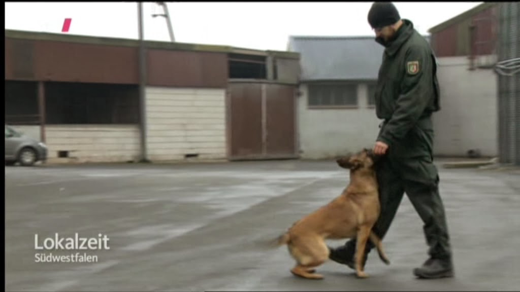 Burgerportal Bergisch Gladbach Nachrichten Hintergrunde Termine