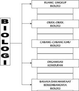 Karakteristik Biologi Sebagai Ilmu Sains Bu Guru Biologi Karakteristik Biologi Sebagai Ilmu Sains Bu Guru Biologi