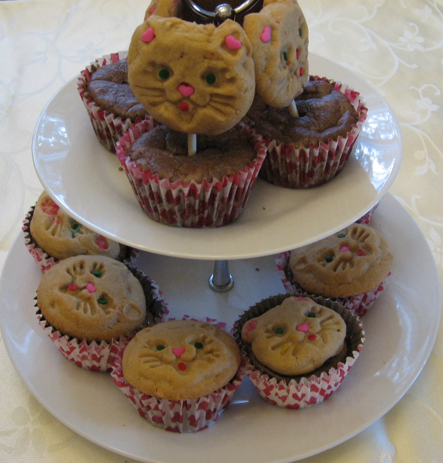 Catsparella Cat Cupcake Tuesdays