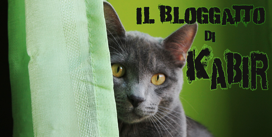 il bloggatto di kabir