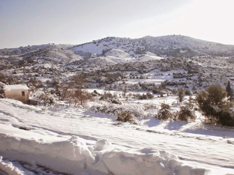 BΛΥΖΙΑΝΑ  ΞΗΡΟΜΕΡΟΥ