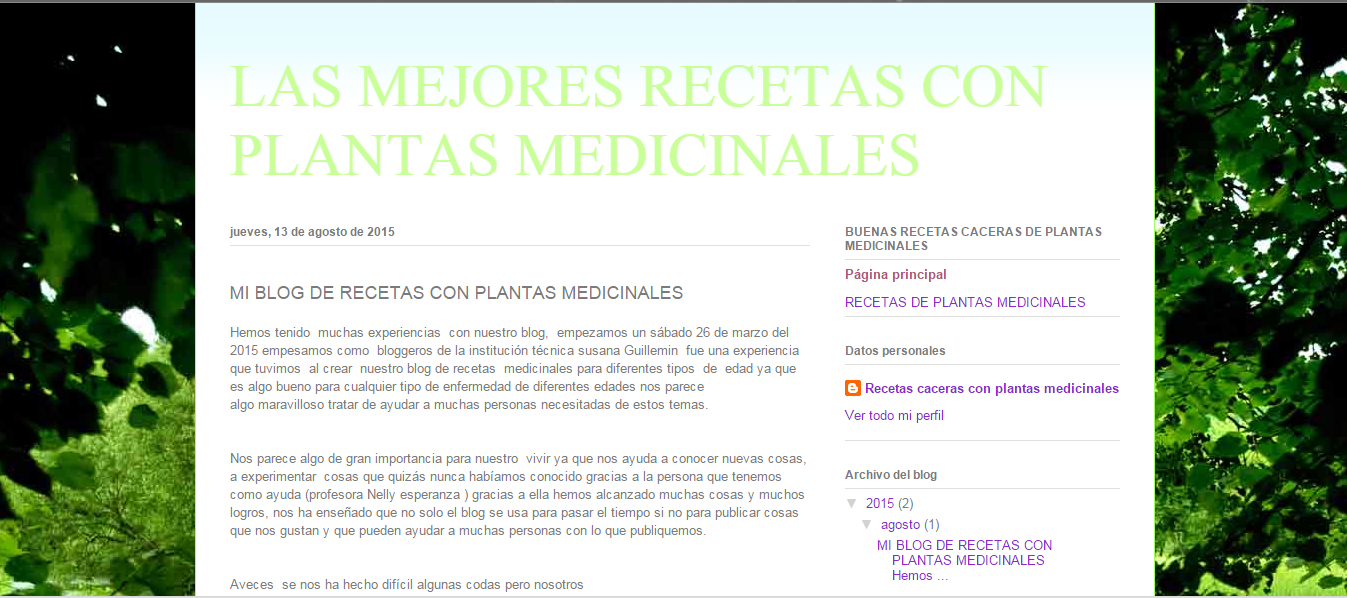 Las mejores recetas con plantas medicinales