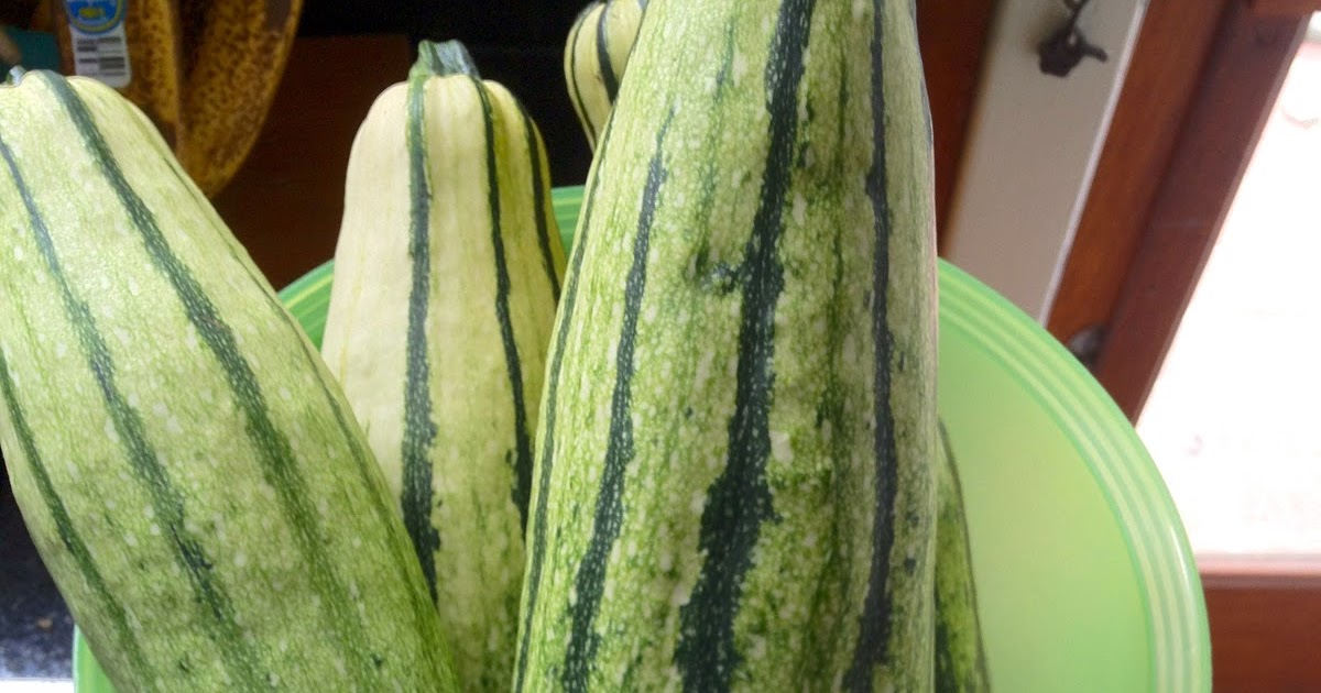 Farm Fresh Feasts ZucchiniRefried BeanCorn Enchiladas (cooking from