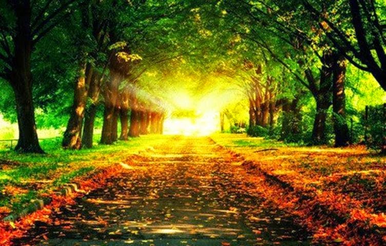 Nessa estrada quero topar com luz, desapego e paz...