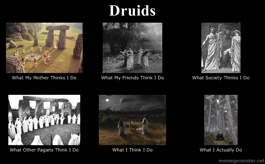 Living Liminally Druids What I Do, the meme version