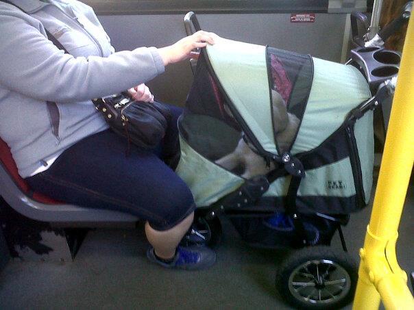 baby bus stroller