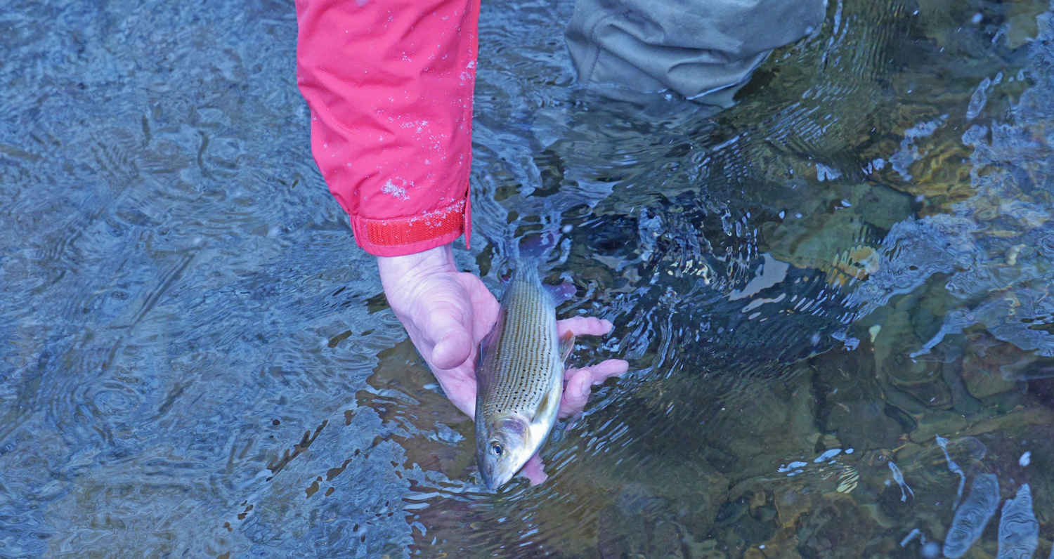 Rastlos Der Wanderblog Wandern In Nrw