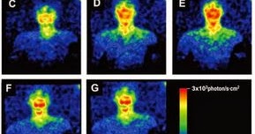 Hexer Maran: Die Aura sehen - nun wissenschaftlich belegt