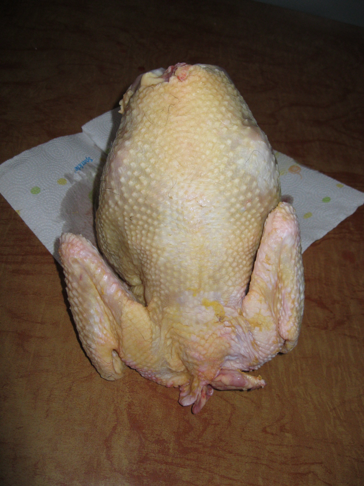 Raising Cornish X Meat Birds for Processing Community Chickens