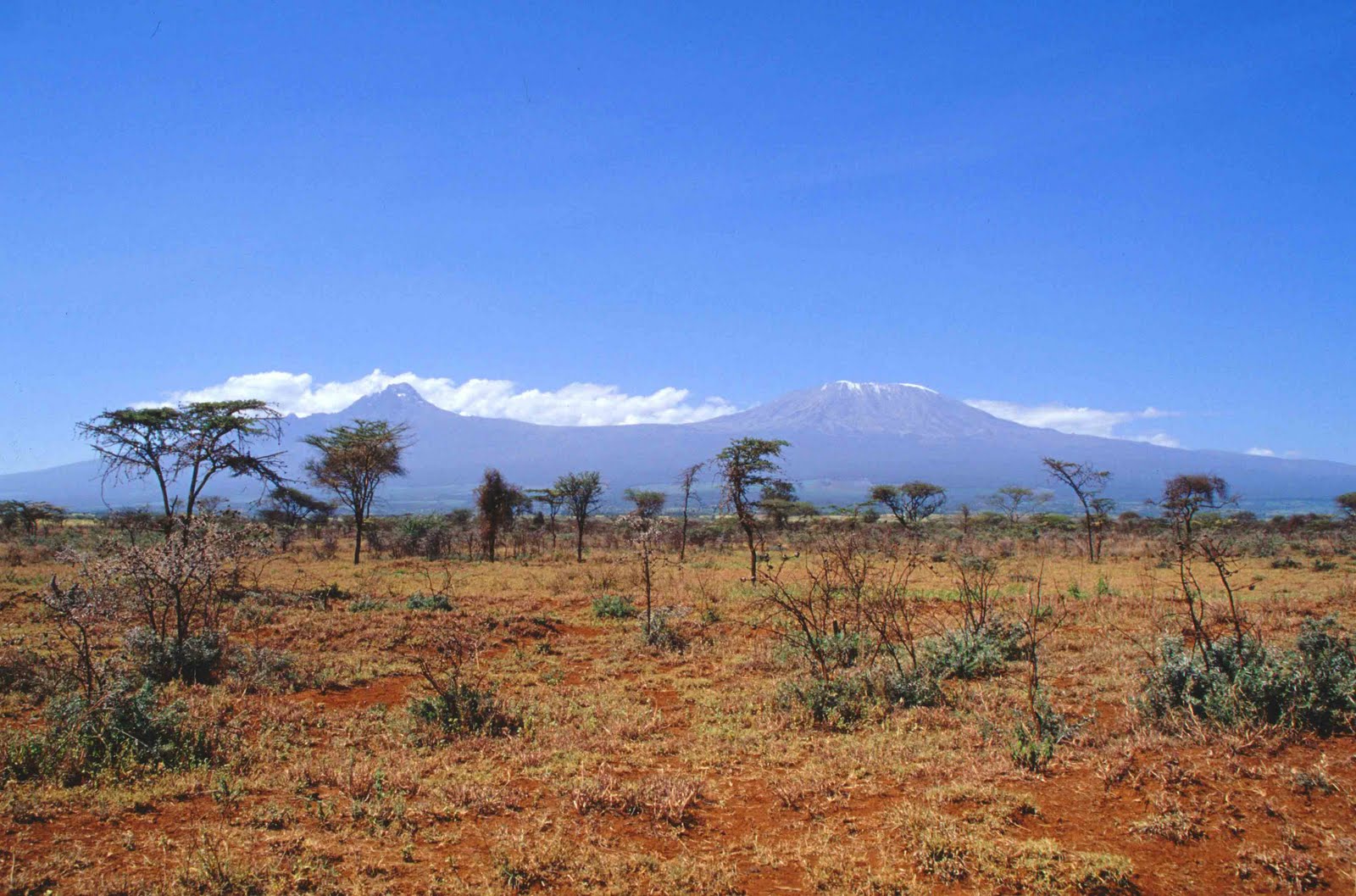 Sabana Africana wallpapers