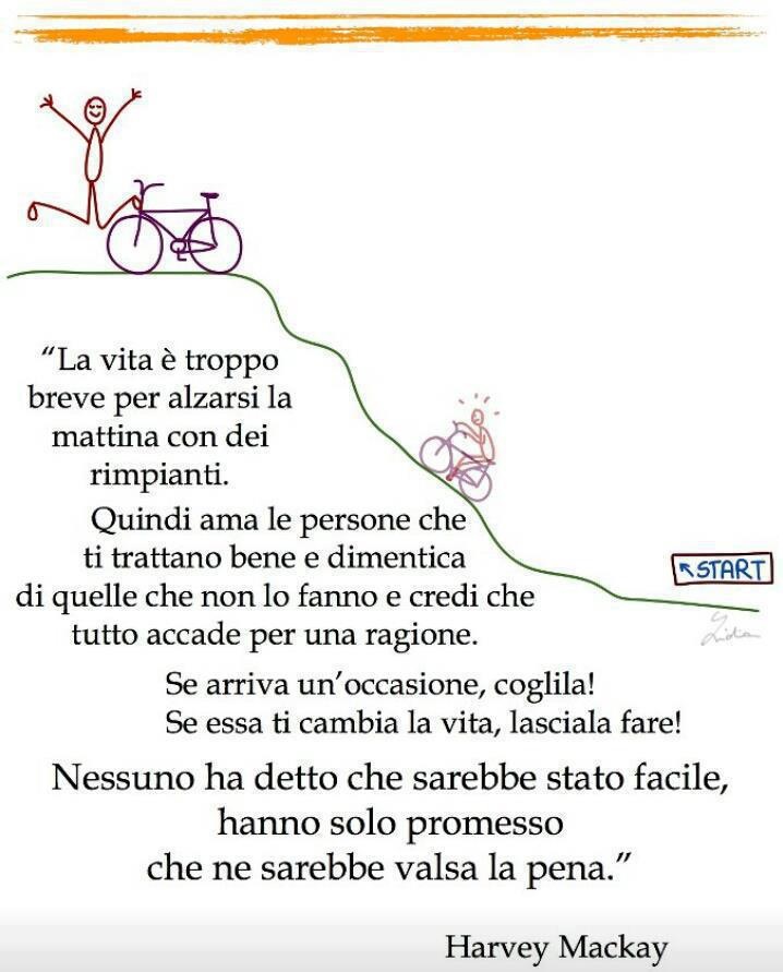 Il Faro Di Dante D Alfonso La Vita E Troppo Breve By H Mackay