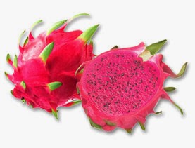 Khasiat Manfaat Buah Naga Merah dan Putih Bagi Kesehatan Khasiat Manfaat Buah Naga Merah dan Putih Bagi Kesehatan