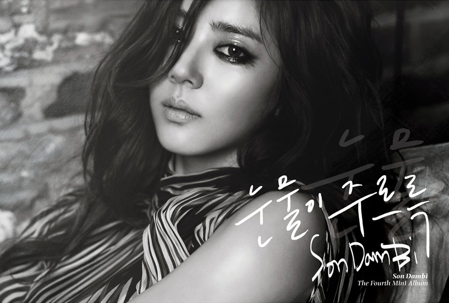 Asian Pop Lyrics: Son Dam Bi (손담비) - Dripping Tears [Hangul