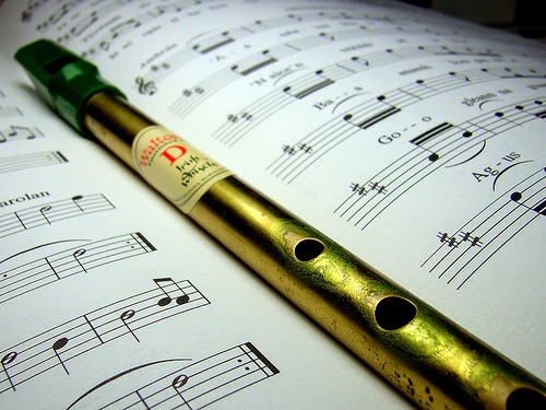 Tin Whistle Tunes -1