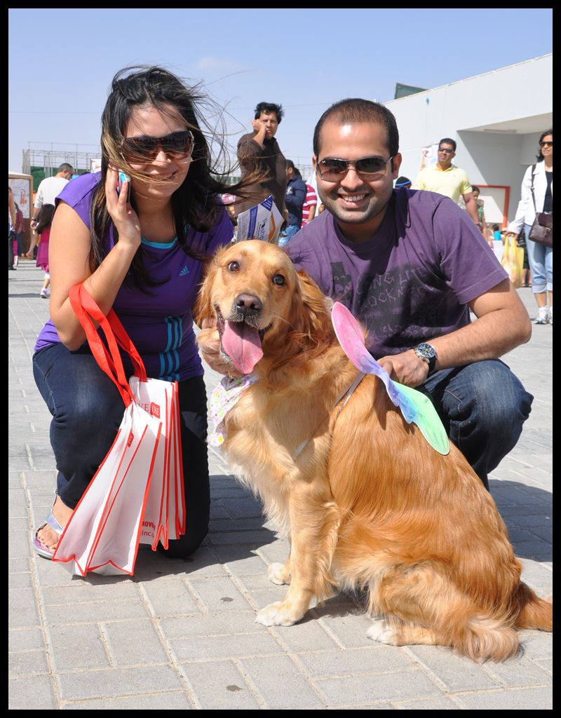 Dubai Photo Story Dubai Pet Show 2012