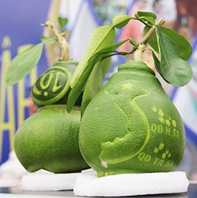 Bưởi Bản Đồ Việt Nam Bưởi Bản Đồ Việt Nam