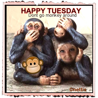 HAPPY+TUESDAY+dont+monkey+around+DbN.JPG