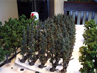 First batch of pine trees ready for my layout