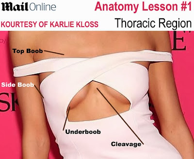 Royal Academy of Medicine anatomy diagram boobs Karlie Kloss