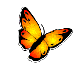 butterfly..