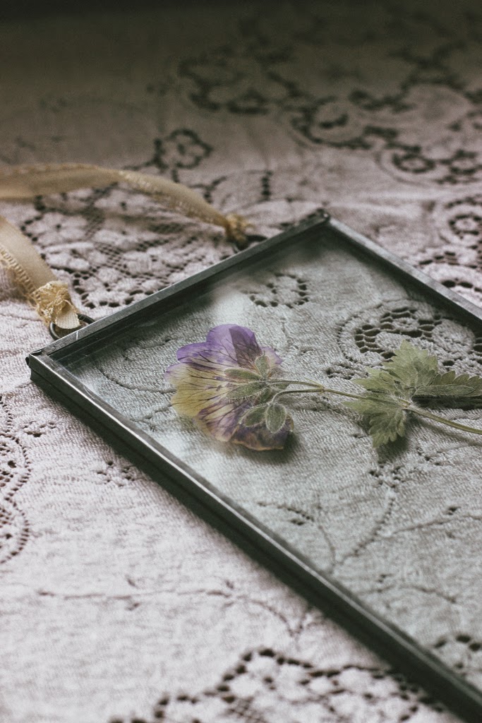 Pressed wild flowers in glass frames 