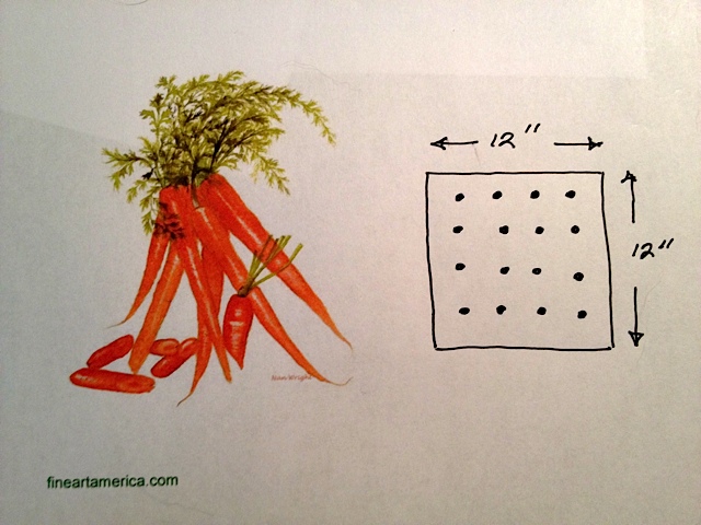 Eat Live Grow Paleo : Vegetables : Carrots