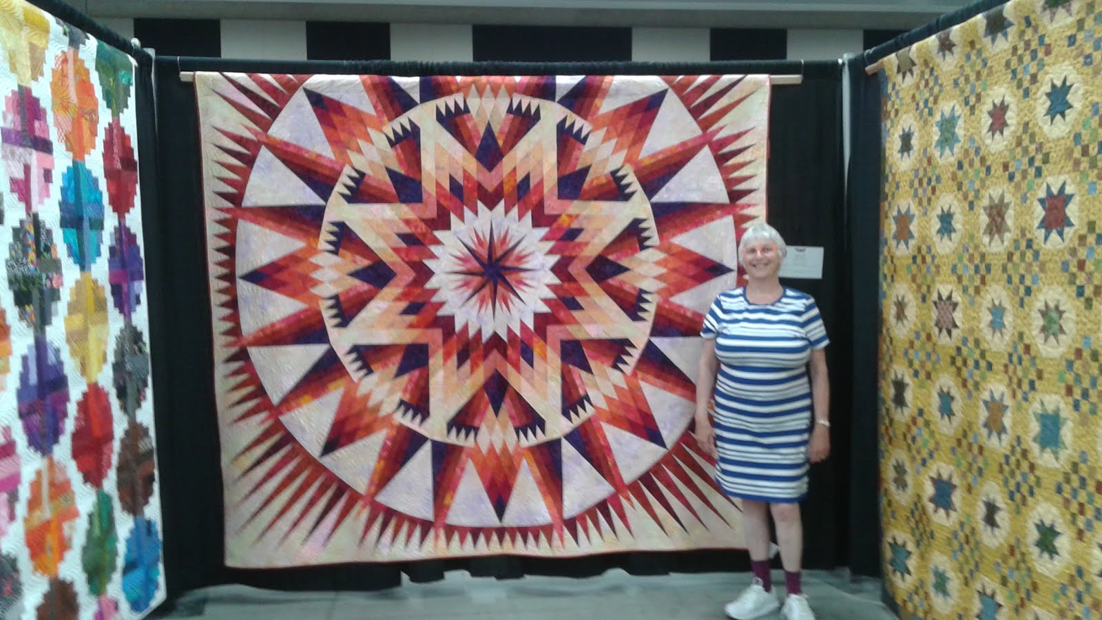 Adventurous Applique and Quilting Minnesota Quilter's Show 2016