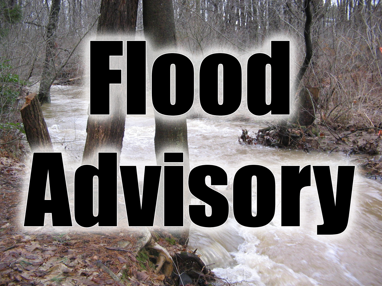 Skook News Flood Advisory Issued for Schuylkill County